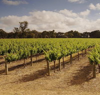 Private Langhorne Creek Wine Region Tour from Adelaide - New South Wales Tourism 