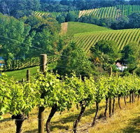Adelaide Hills Private Day Tour - New South Wales Tourism 