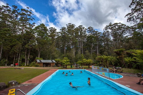 Tahune Airwalk Active Day Trip From Hobart Including Hastings Caves - New South Wales Tourism  2