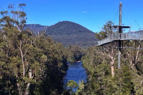 Tahune Airwalk Active Day Trip From Hobart Including Hastings Caves - New South Wales Tourism  6