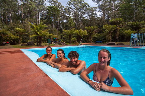 Tahune Airwalk Active Day Trip From Hobart Including Hastings Caves - New South Wales Tourism  4