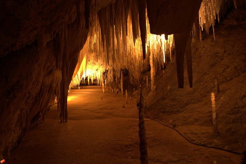Tahune Airwalk Active Day Trip From Hobart Including Hastings Caves - New South Wales Tourism  8