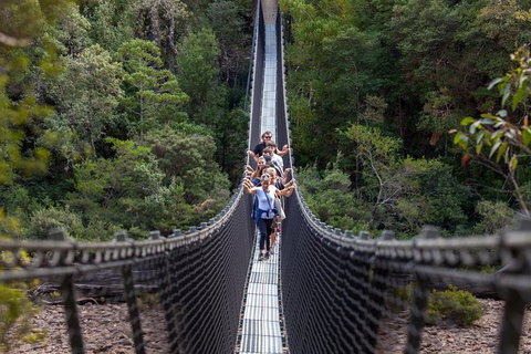Tahune Airwalk Active Day Trip From Hobart Including Hastings Caves - New South Wales Tourism  0