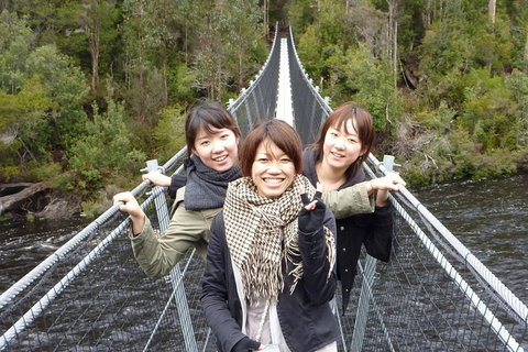 Tahune Airwalk Active Day Trip From Hobart Including Hastings Caves - New South Wales Tourism  7