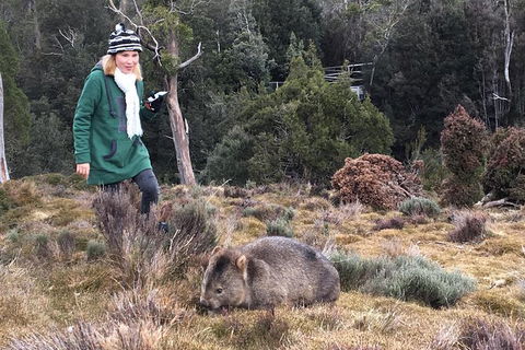 Shore Excursion - Cradle Mountain Day Tour From Burnie - New South Wales Tourism  1
