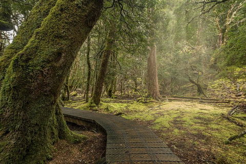 Shore Excursion - Cradle Mountain Day Tour From Burnie - New South Wales Tourism  3