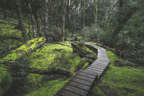 Shore Excursion - Cradle Mountain Day Tour From Burnie - New South Wales Tourism  2