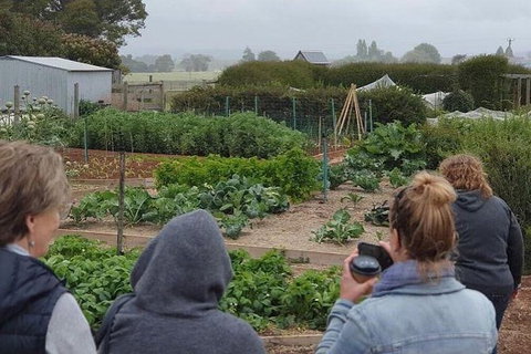 Unearthed Chefs Tour - New South Wales Tourism  17