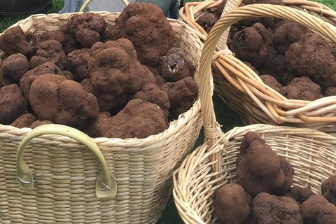 Unearthed Chefs Tour - New South Wales Tourism  13