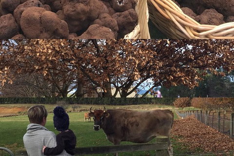 Unearthed Chefs Tour - New South Wales Tourism  6