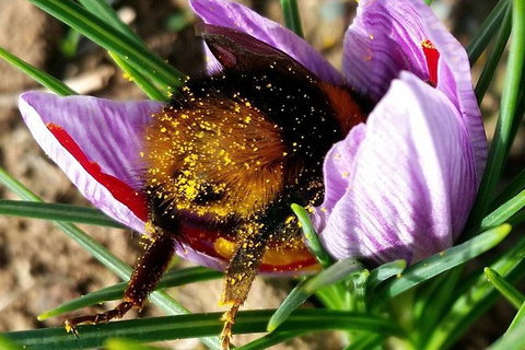 Unearthed Chefs Tour - New South Wales Tourism  9
