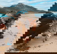 Freycinet Walking Tour - New South Wales Tourism 