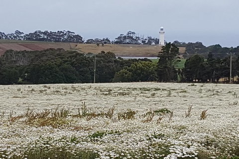 Cruise Ship Excursion: Stanley - New South Wales Tourism  7