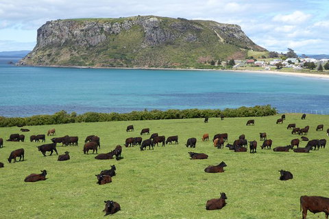 Cruise Ship Excursion: Stanley - New South Wales Tourism  0