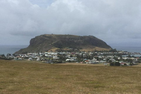Cruise Ship Excursion: Stanley - New South Wales Tourism  2