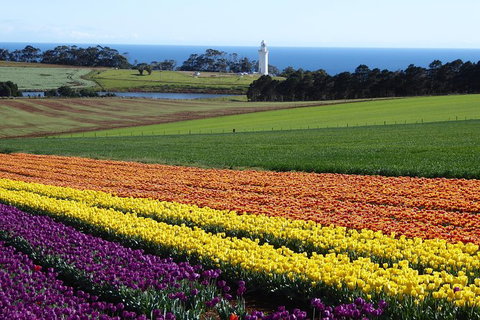 Cruise Ship Excursion: Stanley - New South Wales Tourism  18