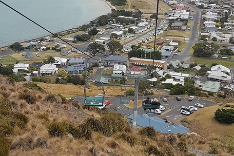 Cruise Ship Excursion: Stanley - New South Wales Tourism  14