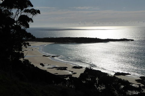 Cruise Ship Excursion: Stanley - New South Wales Tourism  24