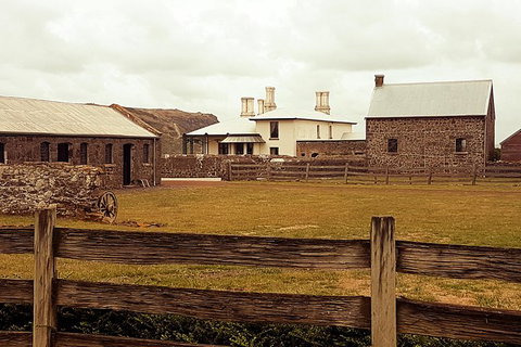 Cruise Ship Excursion: Stanley - New South Wales Tourism  17