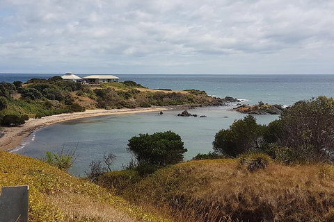 Cruise Ship Excursion: NW Tassie Coastal Explorer - New South Wales Tourism  13