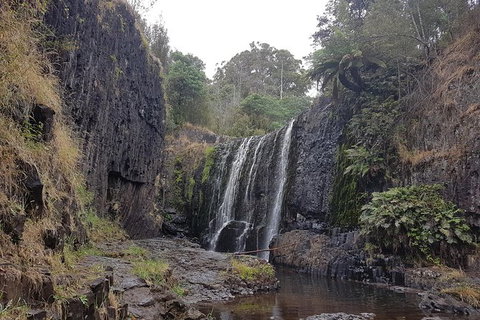 Cruise Ship Excursion: NW Tassie Coastal Explorer - New South Wales Tourism  16