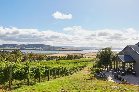 Launceston Wine & Sightseeing Tours - New South Wales Tourism  0