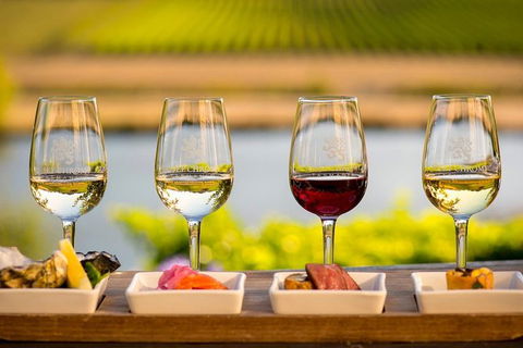 Launceston Wine & Sightseeing Tours - New South Wales Tourism  4