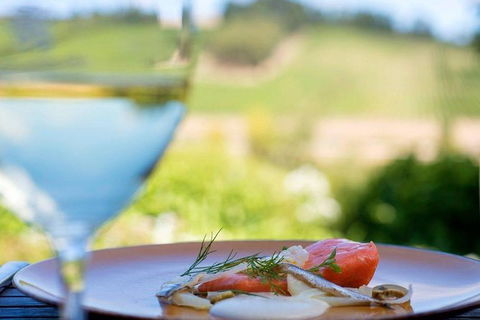 Launceston Wine & Sightseeing Tours - New South Wales Tourism  5