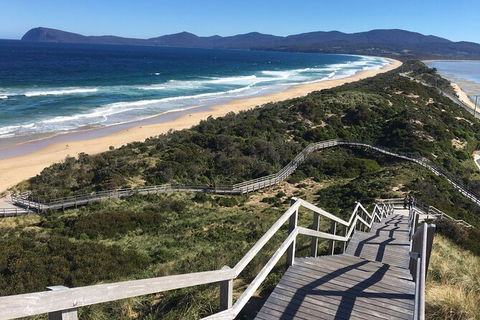 4-Day Fabulous Tasmania Tour: Wineglass Bay, Port Arthur, Devils & Bruny Island - New South Wales Tourism  3