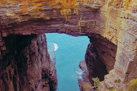 4-Day Fabulous Tasmania Tour: Wineglass Bay, Port Arthur, Devils & Bruny Island - New South Wales Tourism  6