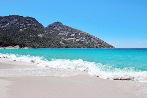 Sea & Explore Wineglass Bay & Freycinet National Park - Cruise & Walk - New South Wales Tourism  4