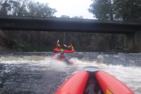 Twin Rivers Winter Adventure - New South Wales Tourism  4