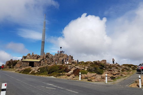 Mt. Wellington Morning Hike + Afternoon Beer & History Walk - New South Wales Tourism  21