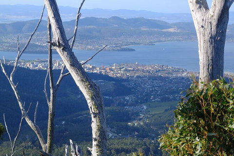 Mt. Wellington Morning Hike + Afternoon Beer & History Walk - New South Wales Tourism  10
