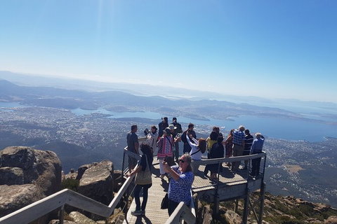 Mt. Wellington Morning Hike + Afternoon Beer & History Walk - New South Wales Tourism  2