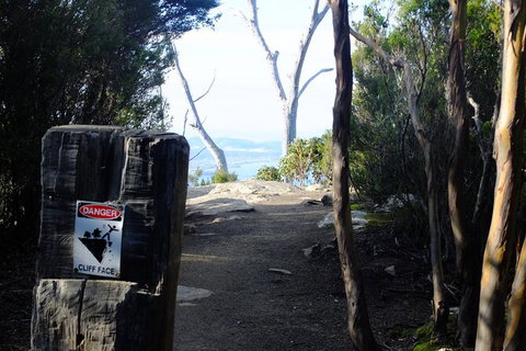 Mt. Wellington Morning Hike + Afternoon Beer & History Walk - New South Wales Tourism  14