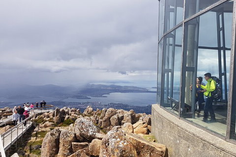 Mt. Wellington Morning Hike + Afternoon Beer & History Walk - New South Wales Tourism  12