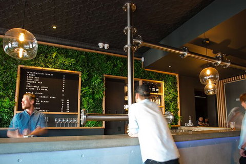 Mt. Wellington Morning Hike + Afternoon Beer & History Walk - New South Wales Tourism  15