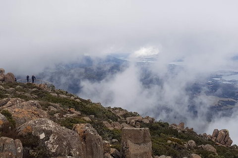 Mt. Wellington Morning Hike + Afternoon Beer & History Walk - New South Wales Tourism  18