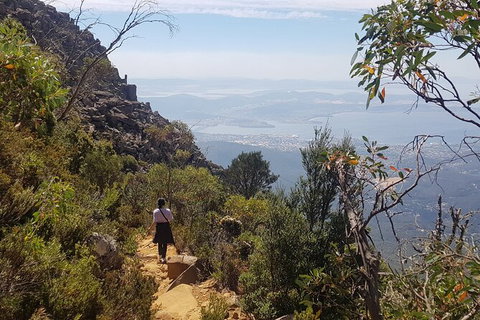 Mt. Wellington Morning Hike + Afternoon Beer & History Walk - New South Wales Tourism  1