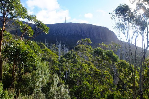 Mt. Wellington Morning Hike + Afternoon Beer & History Walk - New South Wales Tourism  4