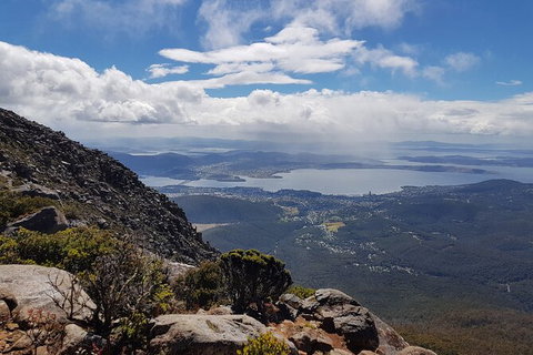 Mt. Wellington Morning Hike + Afternoon Beer & History Walk - New South Wales Tourism  5