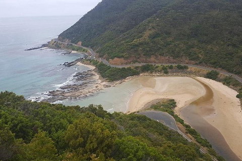 The Great Ocean Road 1 Day Private Sunset Tour - New South Wales Tourism  5