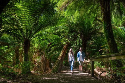 The Great Ocean Road 1 Day Private Sunset Tour - New South Wales Tourism  1