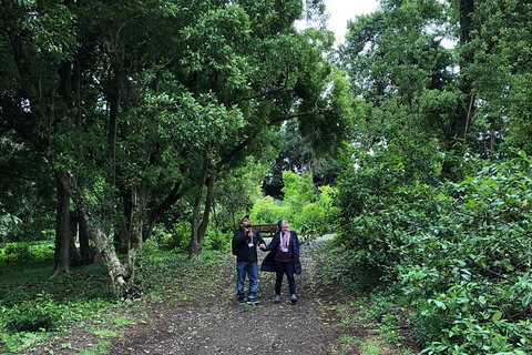 Alices Journeys Guided Walking Tours Of Daylesford - New South Wales Tourism  5