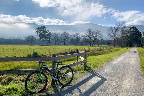 Aqueduct And Rail Trail Self-Guided Bike Tour In Warburton - New South Wales Tourism  5