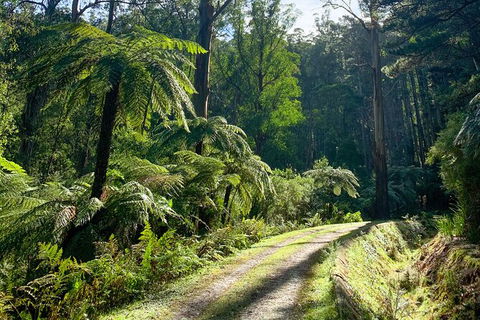 Aqueduct And Rail Trail Self-Guided Bike Tour In Warburton - New South Wales Tourism  3