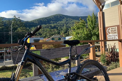 Aqueduct And Rail Trail Self-Guided Bike Tour In Warburton - New South Wales Tourism  2
