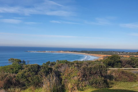 Private Great Ocean Road And Chocolaterie Tour With Tasting - New South Wales Tourism  5