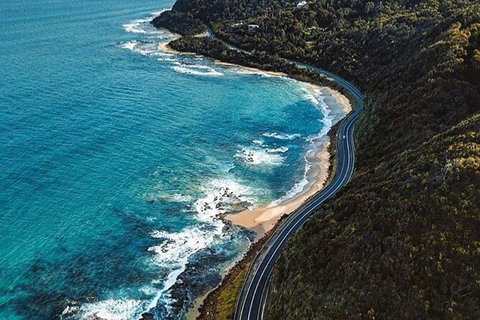 Private Great Ocean Road And Chocolaterie Tour With Tasting - New South Wales Tourism  6